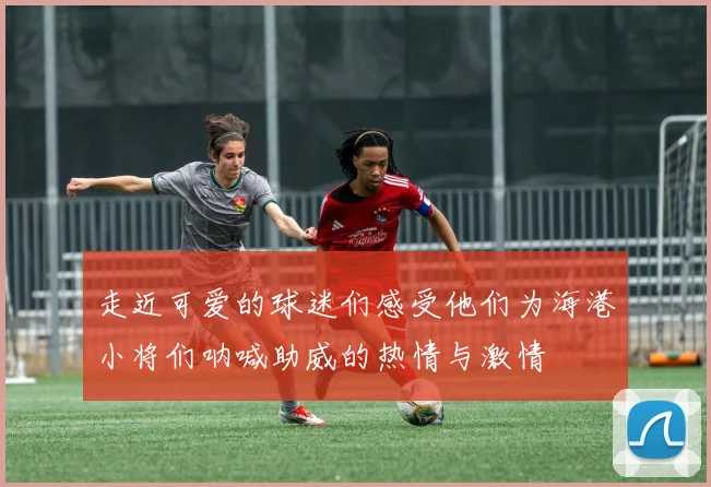 走近可爱的球迷们感受他们为海港小将们呐喊助威的热情与激情