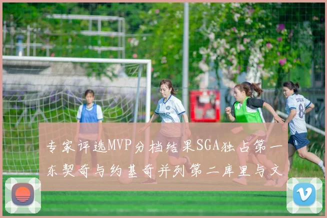 专家评选MVP分档结果SGA独占第一东契奇与约基奇并列第二库里与文班位列第四