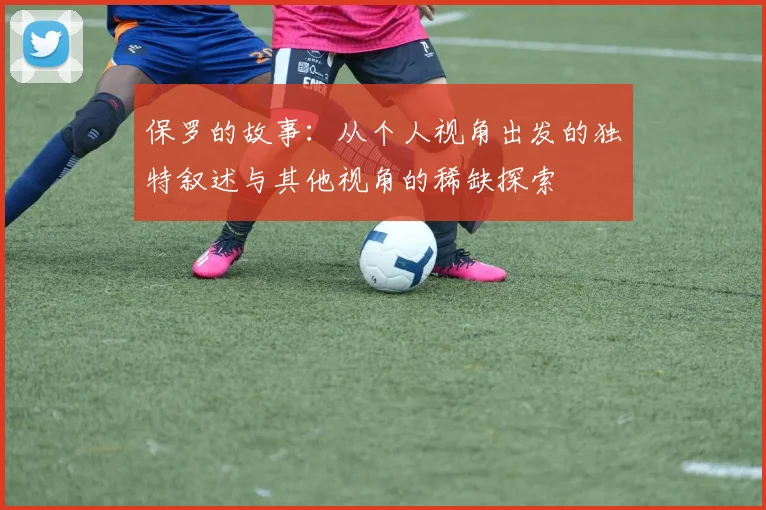 保罗的故事：从个人视角出发的独特叙述与其他视角的稀缺探索